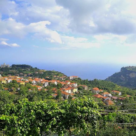 Agriturismo Il Castagno Villa อาเจโรลา ภายนอก รูปภาพ