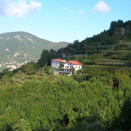 Agriturismo Il Castagno Villa อาเจโรลา ภายนอก รูปภาพ