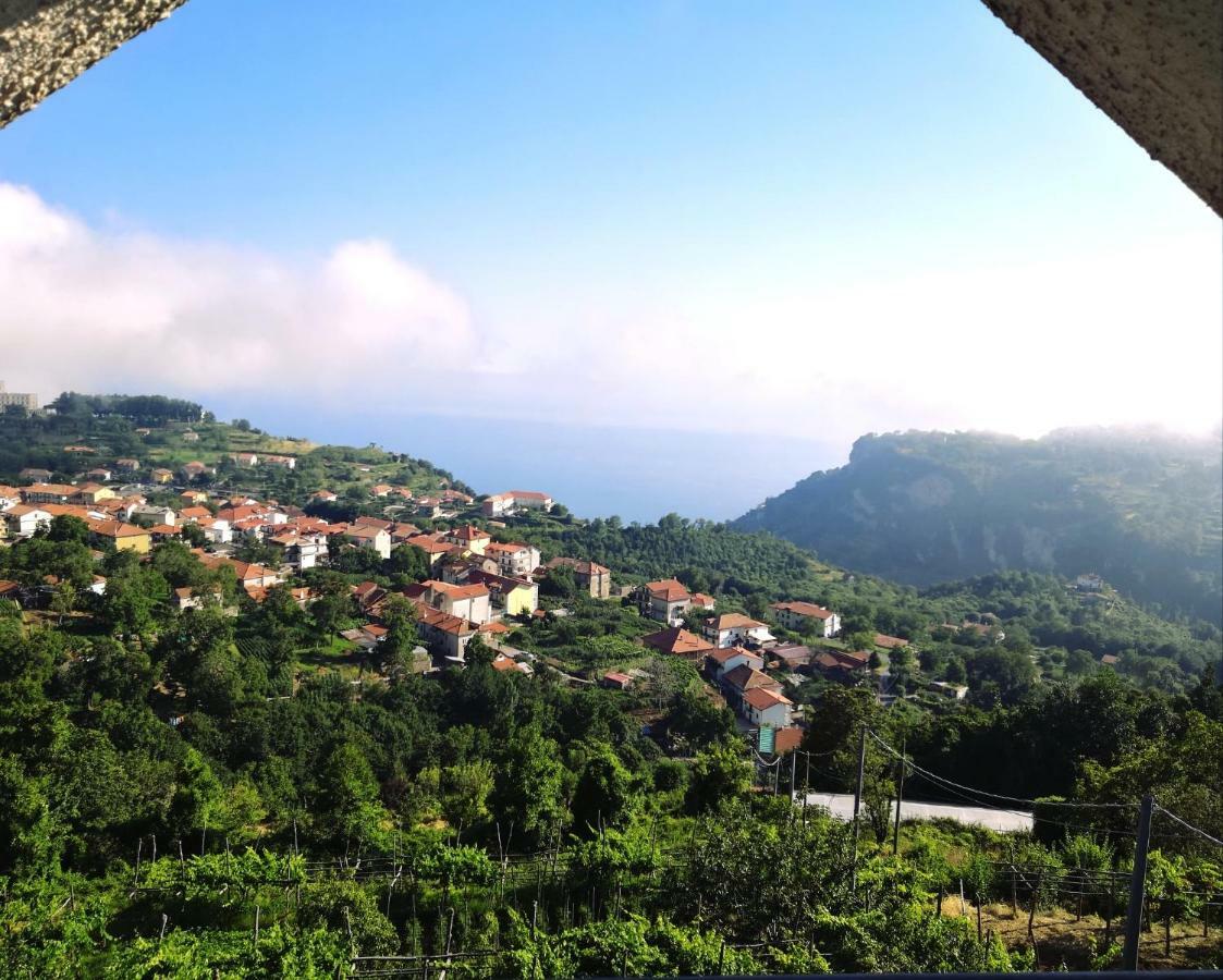 Agriturismo Il Castagno Villa อาเจโรลา ภายนอก รูปภาพ