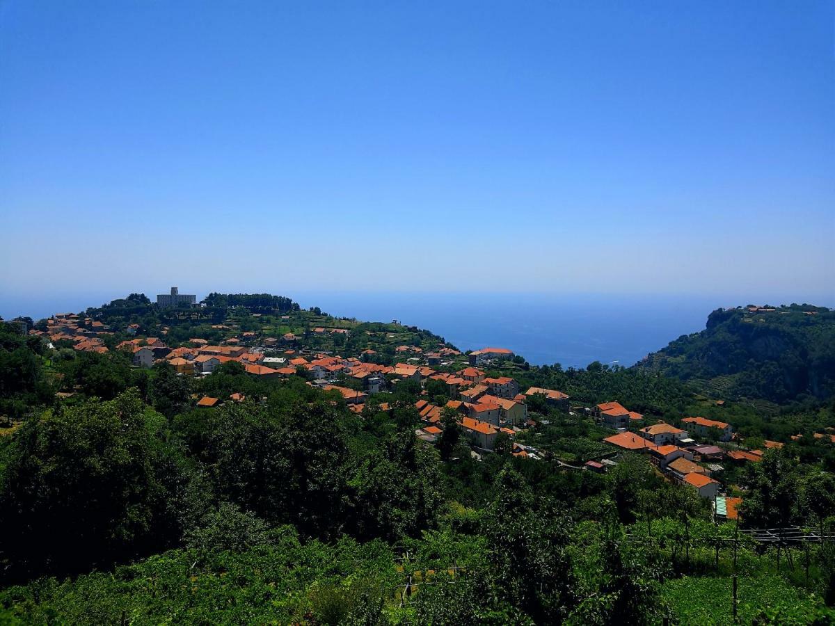 Agriturismo Il Castagno Villa อาเจโรลา ภายนอก รูปภาพ
