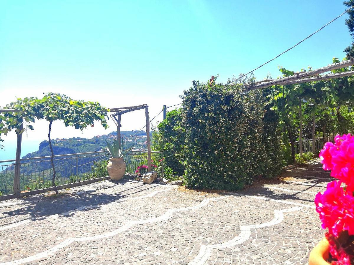 Agriturismo Il Castagno Villa อาเจโรลา ภายนอก รูปภาพ