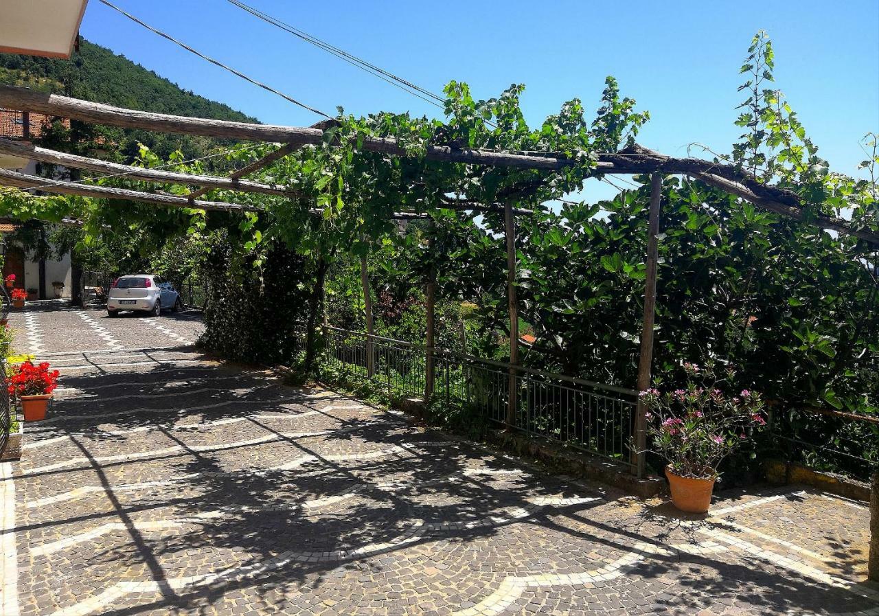 Agriturismo Il Castagno Villa อาเจโรลา ภายนอก รูปภาพ