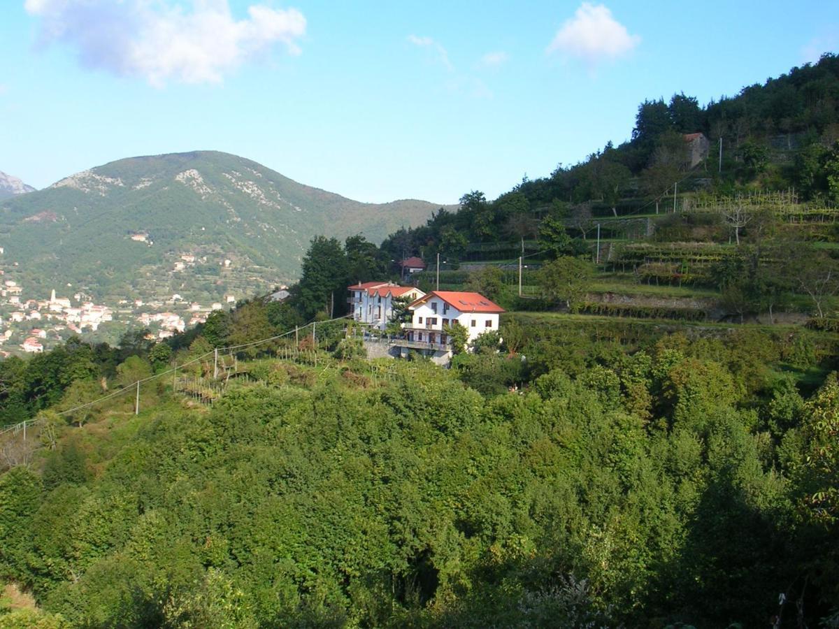 Agriturismo Il Castagno Villa อาเจโรลา ภายนอก รูปภาพ